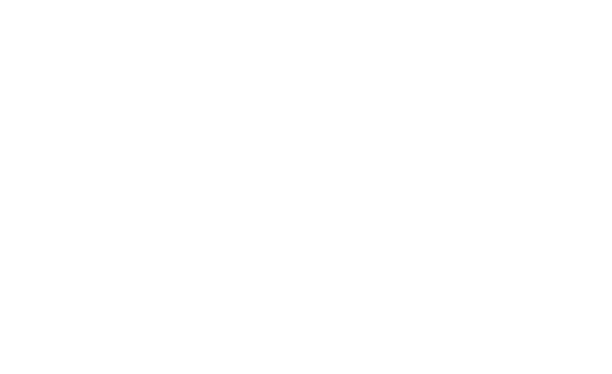 Swan Plumbing logo