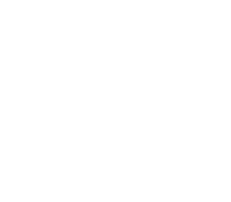 Cornerstone Animal Clinic logo