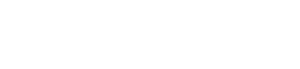 Horizon Capital Partners logo