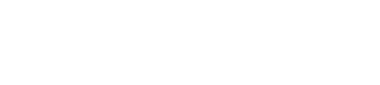 Lewisville Autoplex logo