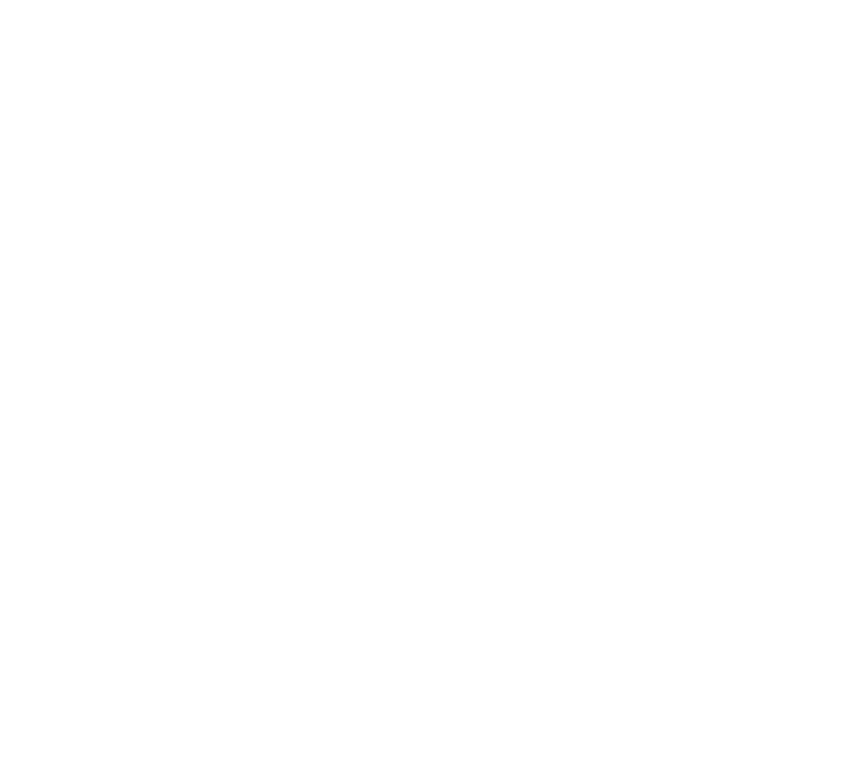 Star Concessions logo